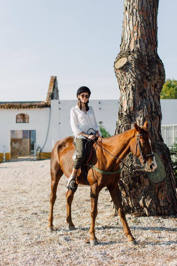 Salvaterra Country House & Spa Salvaterra de Magos Εξωτερικό φωτογραφία
